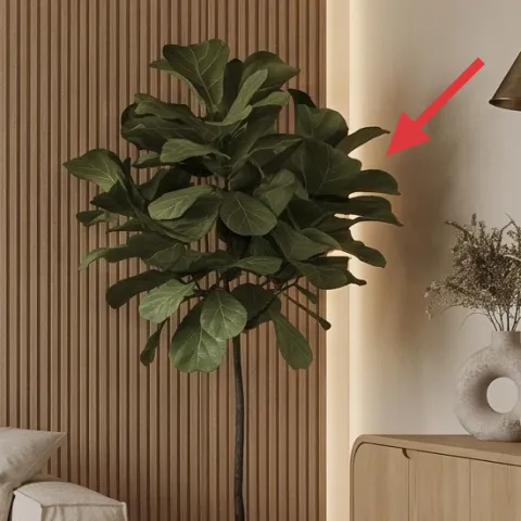 large leafy indoor plant in pot