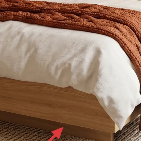 area rug