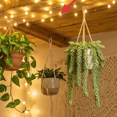 string lights across ceiling