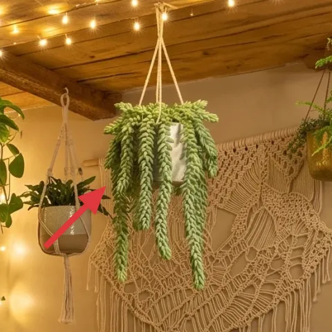 terracotta hanging plant pot