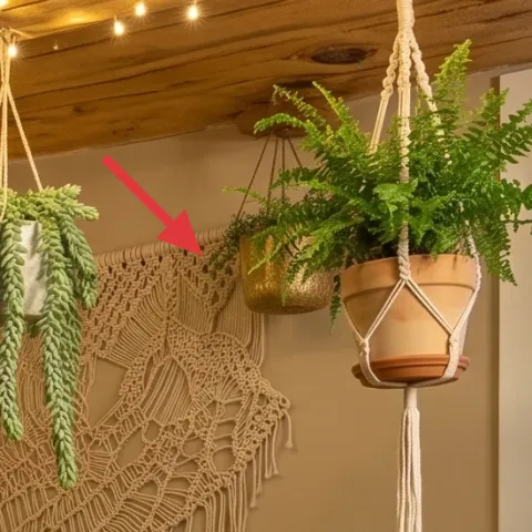 hanging green plant