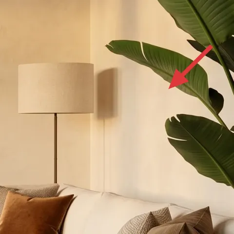 large potted plant with broad green leaves