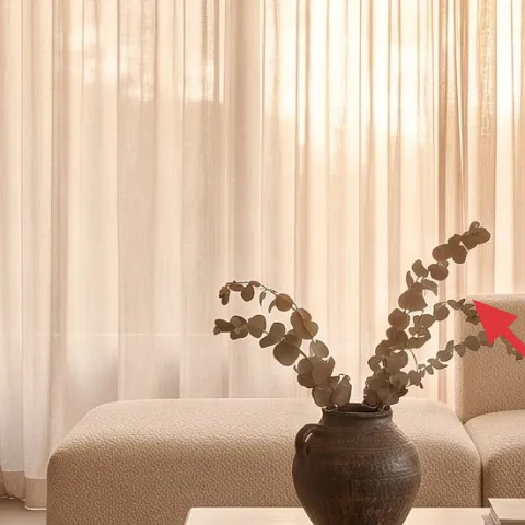 Terracotta plant pot