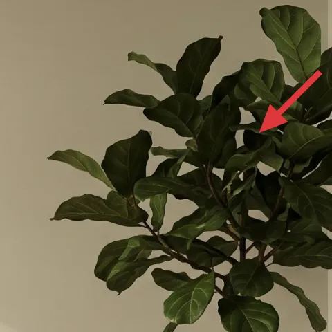 tall leafy plant