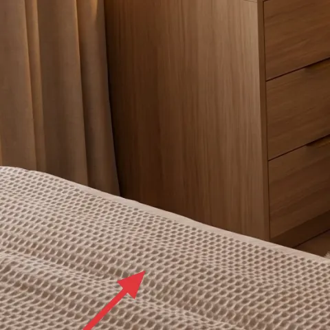 cream area rug